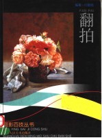 翻拍摄影