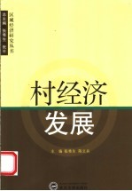 村经济发展