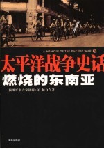燃烧的东南亚