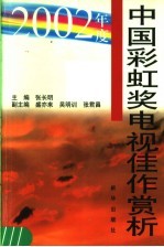 2002年度中国彩虹奖电视佳作赏析