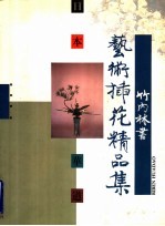 日本华道竹内林书艺术插花精品集