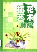 插花艺术集锦