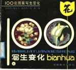 100花图案写生变化 上