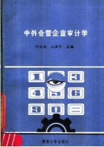 中外合营企业审计学