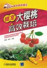 棚室大樱桃高效栽培