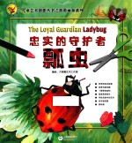 忠实的守护者 瓢虫