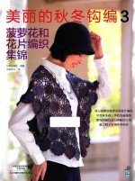 美丽的秋冬钩编 3 菠萝花和花片编织集锦