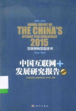 中国互联网+发展报告研究 2015