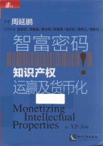 智富密码 知识产权运赢及货币化