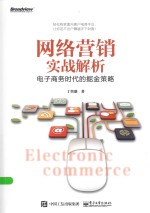 网络营销实战解析 电子商务时代的掘金策略