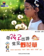 带孩子出游常见野花草