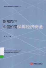 新常态下,中国如何保障经济安全