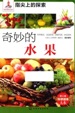 指尖上的探索 奇妙的水果