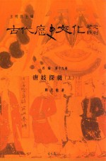 古代历史文化研究辑刊 四编 第19册 唐妓探微 上