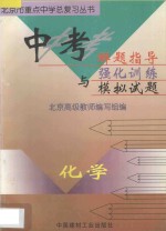 中考解题指导与强化训练模拟试题 初中化学