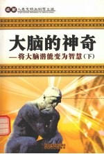 大脑的神奇 将大脑潜能变为智慧 下