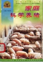 家庭科学养猪