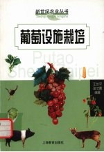 葡萄设施栽培