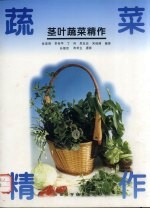 茎叶蔬菜精作