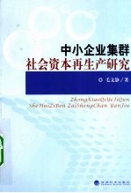中小企业集群社会资本再生产研究