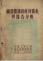 国营农场资产负债表及报告分析