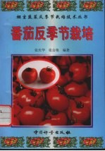 番茄反季节栽培