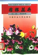 宿根花卉