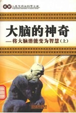 大脑的神奇 将大脑潜能变为智慧 上