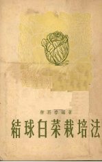 结球白菜栽培法