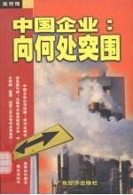 中国企业:向何处突围