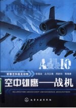 空中雄鹰:战机