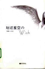 划过星空的WISH