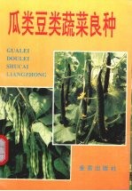 瓜类豆类蔬菜良种