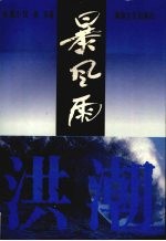 暴风雨 下 洪潮