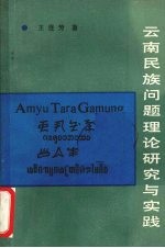云南民族问题理论研究与实践