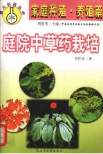 庭院中草药栽培