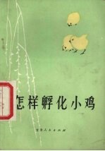 怎样孵化小鸡