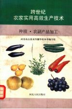 跨世纪农家实用高效生产技术 种植·农副产品加工