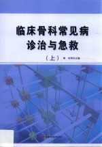 临床骨科常见病诊治与急救 上