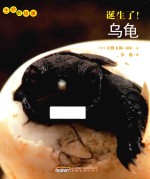 生命的故事 诞生了!乌龟