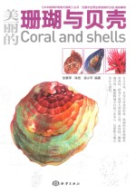 水中的保护动物大探秘 美丽的珊瑚与贝壳