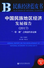 中国民族地区经济发展报告 2017