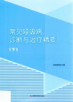 常见呼吸病诊断与治疗精要 下