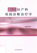 实用妇产科疾病诊断治疗学 上