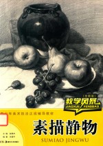 教学风暴 素描静物