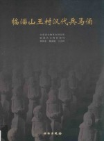 临淄山王村汉代兵马俑