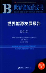 世界能源发展报告 2017