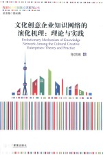 海派时尚与创意经济系列丛书 文化创意企业知识网络的演化机理 理论与实践