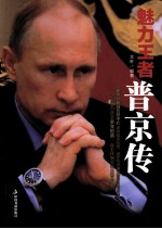 魅力王者 普京传
