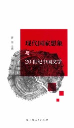 现代国家想象与20世纪中国文学